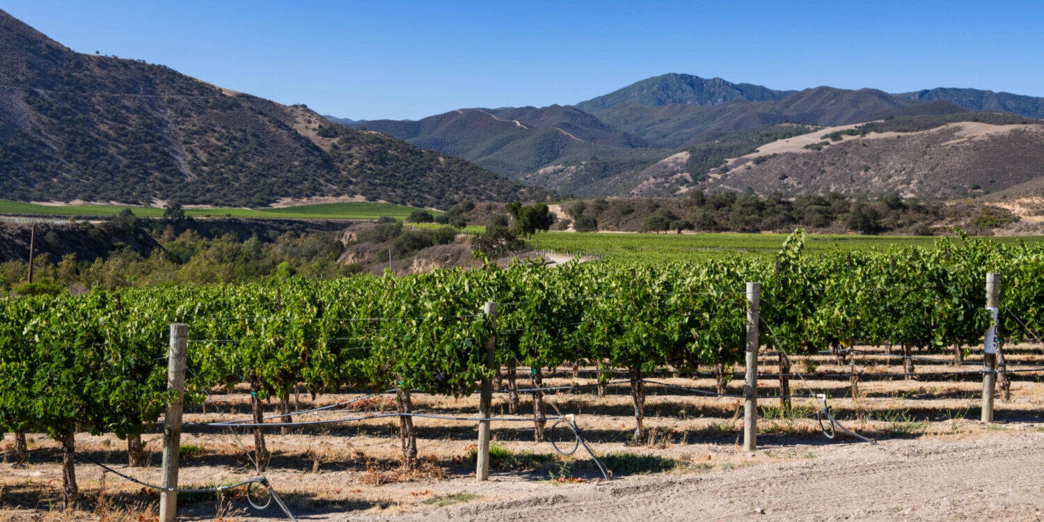 Panorama of beautiful wine country with mountains in Carmel Valley California